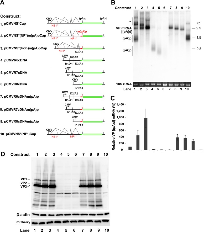 FIG 10