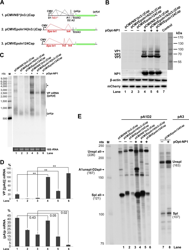 FIG 8