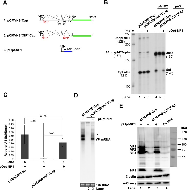 FIG 6