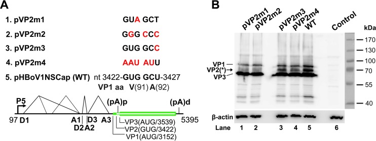 FIG 3