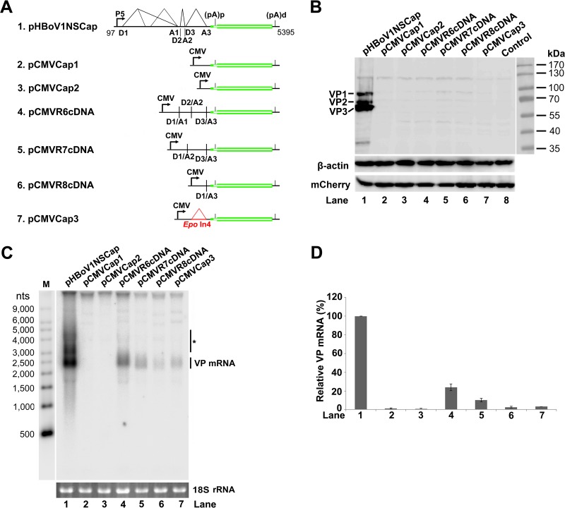 FIG 4