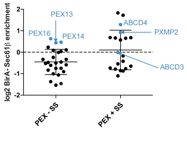 Figure 2—figure supplement 1.