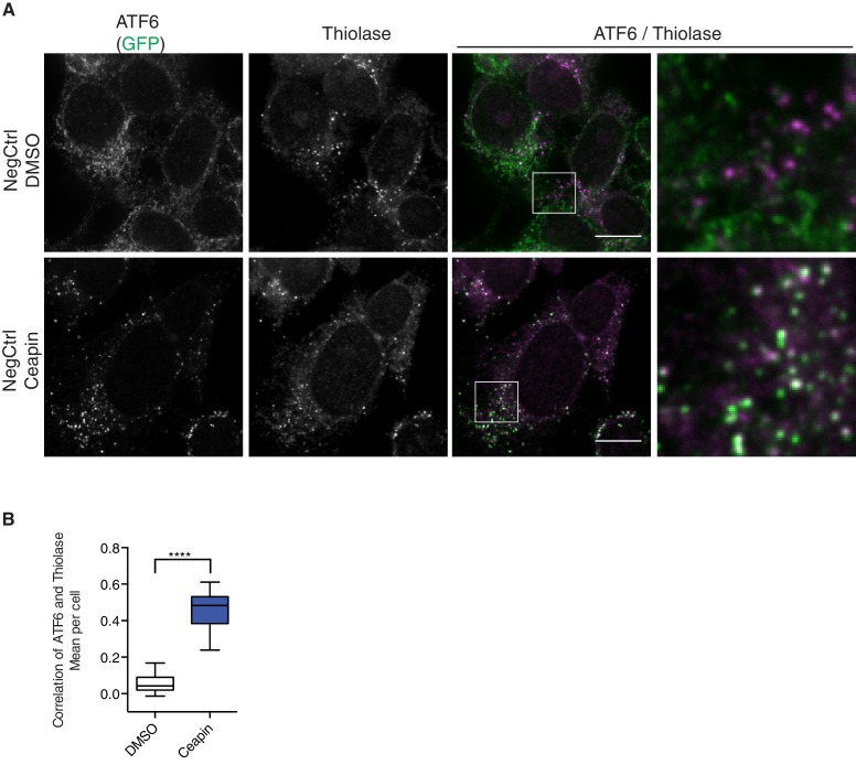 Figure 2—figure supplement 2.