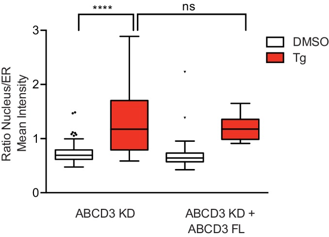 Figure 1—figure supplement 2.