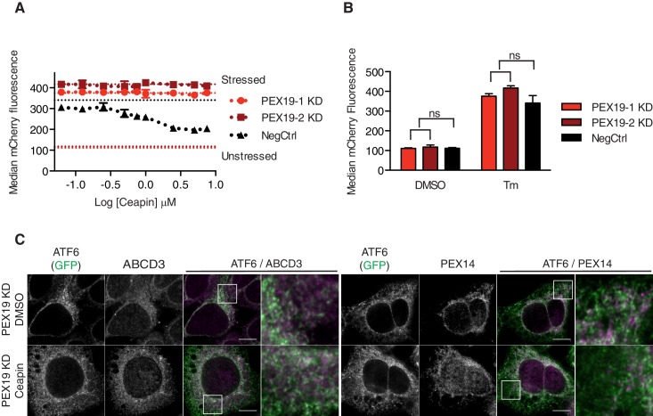 Figure 2—figure supplement 3.