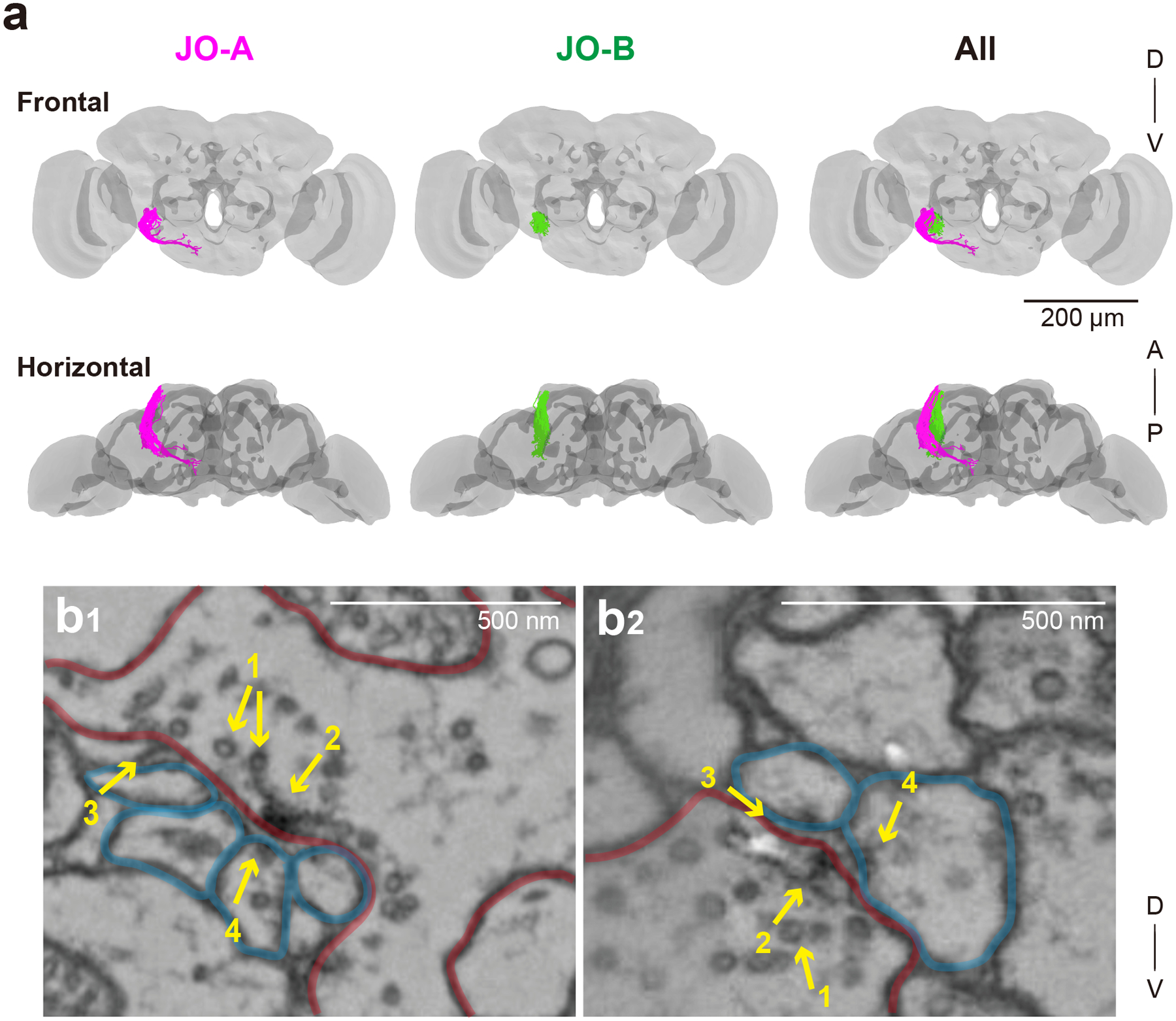 Figure 1 |