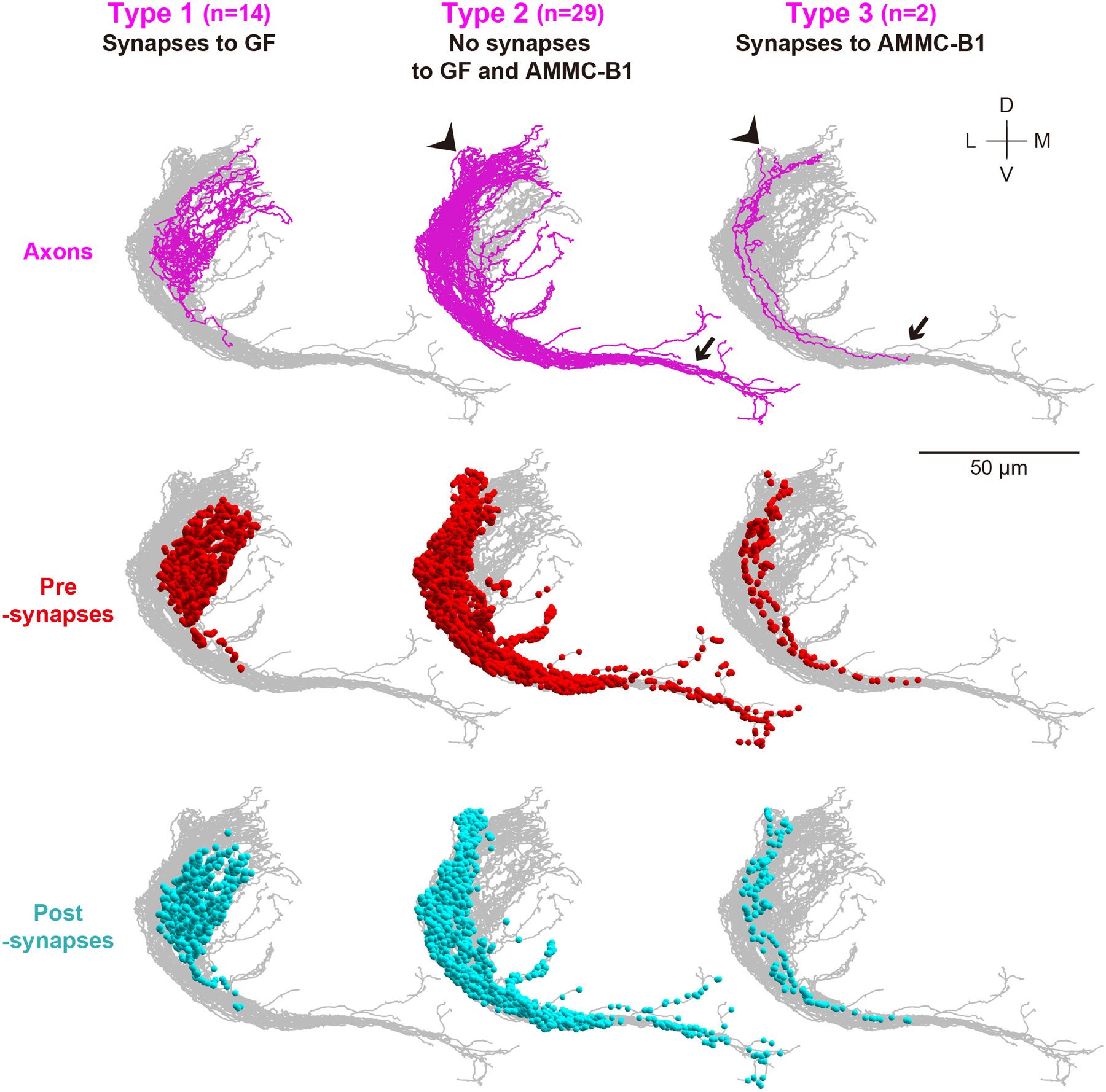 Figure 6 |