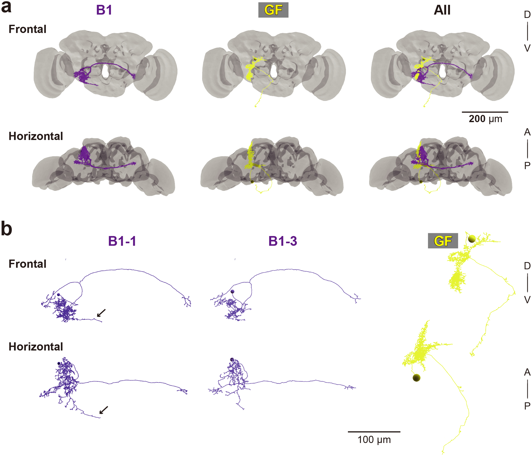 Figure 4 |