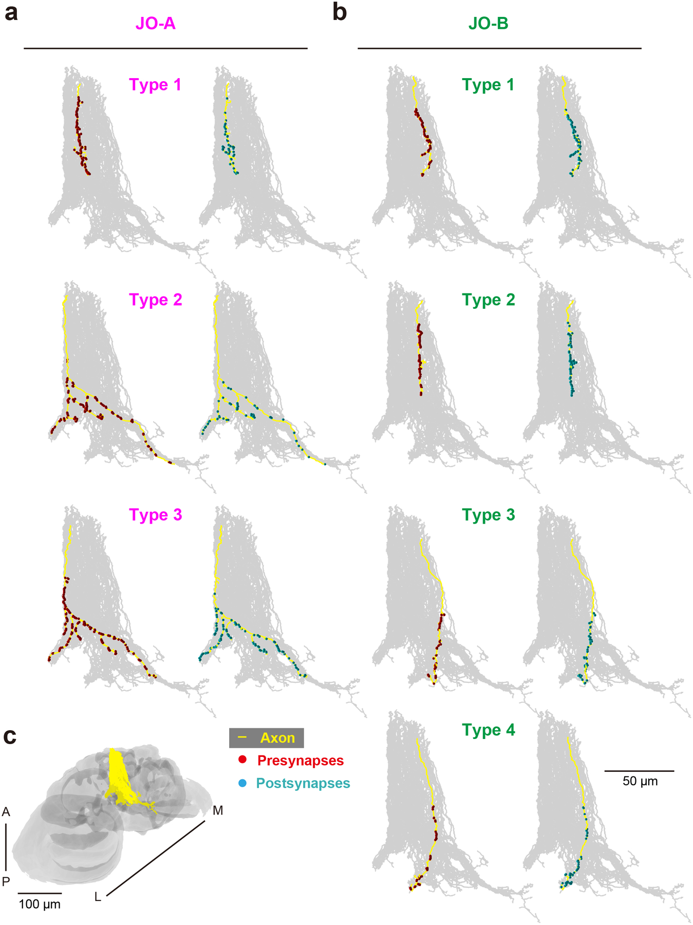 Figure 3 |