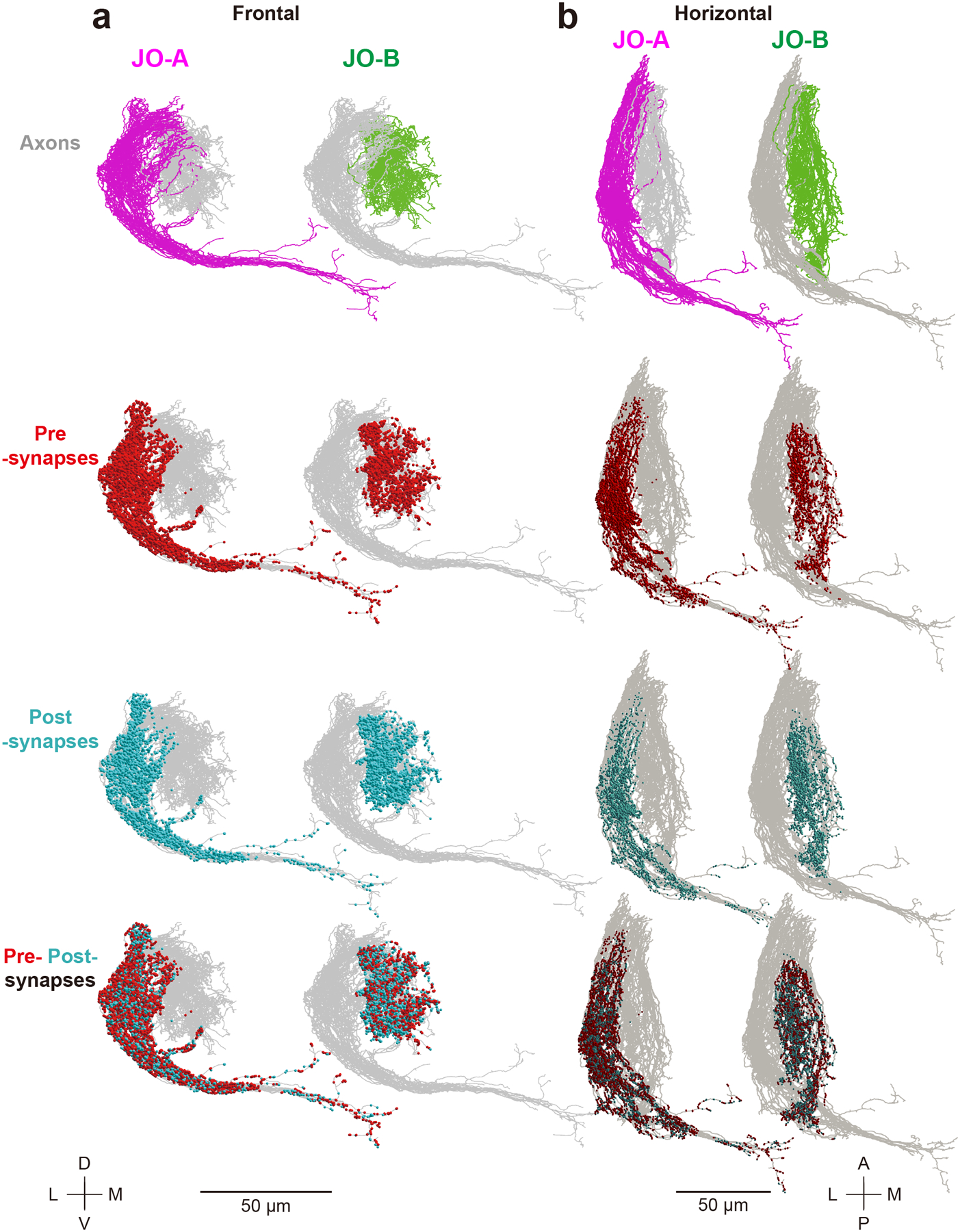 Figure 2 |