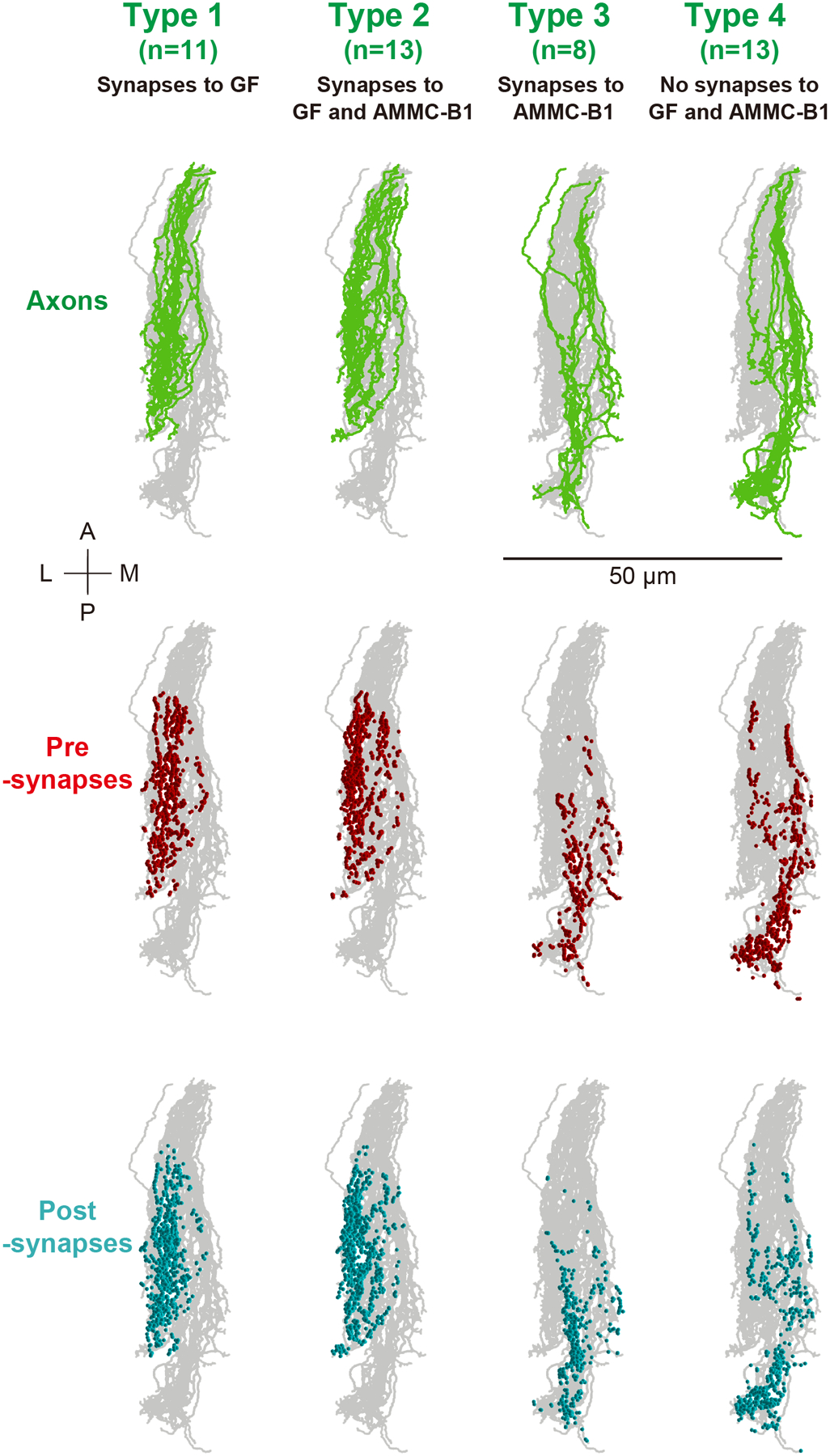 Figure 10 |