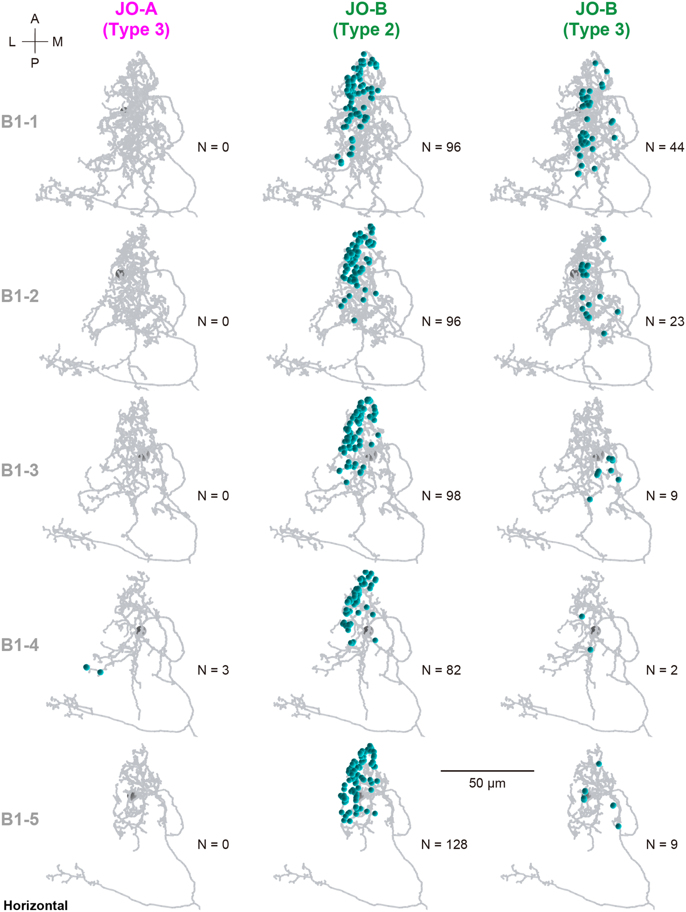 Figure 12 |