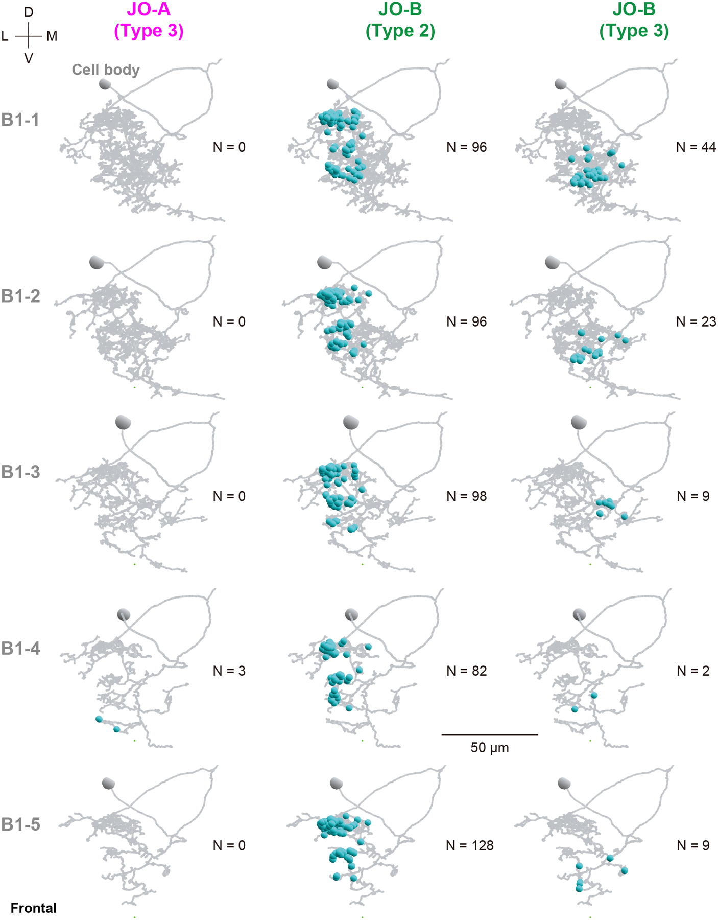 Figure 11 |