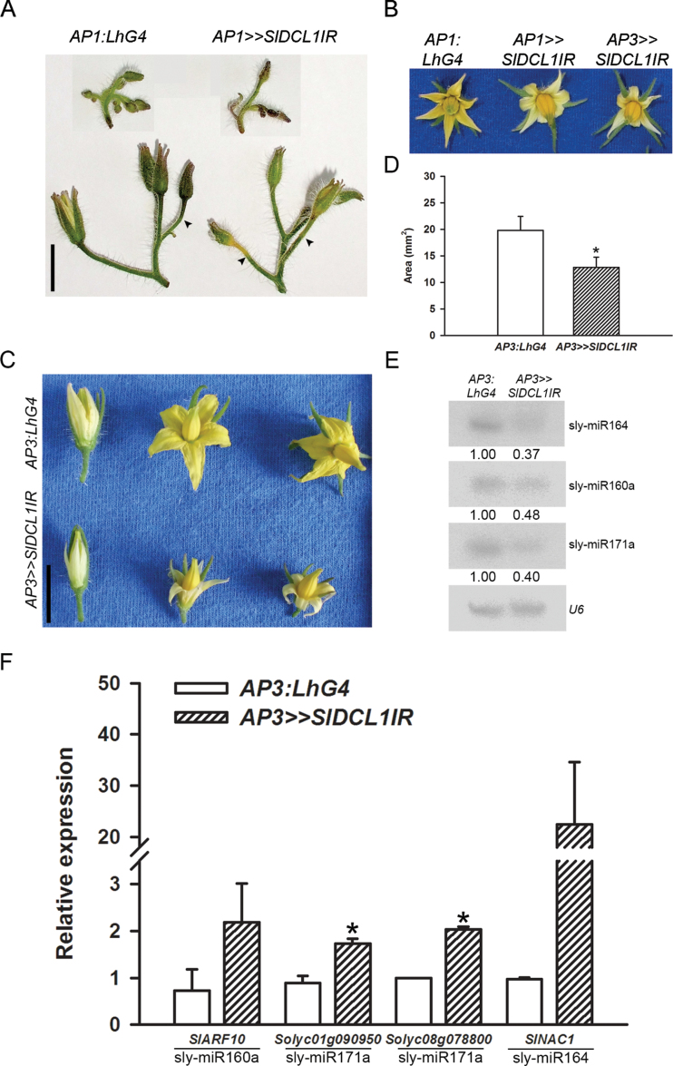 Fig. 7.