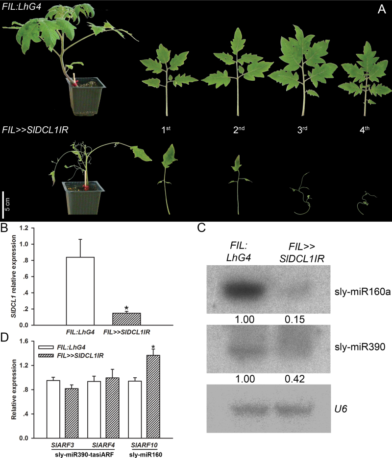 Fig. 6.