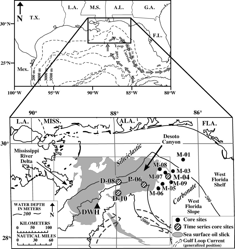 Fig 1