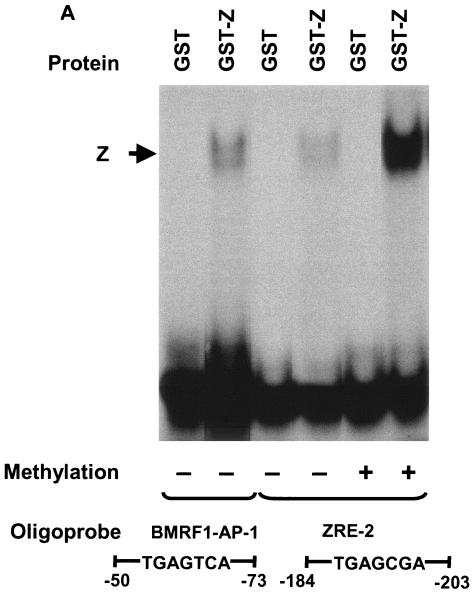 FIG. 8.