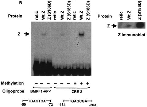 FIG. 8.