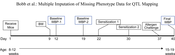 Figure 1: