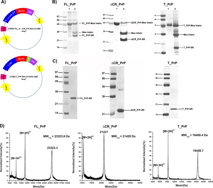 FIGURE 1.