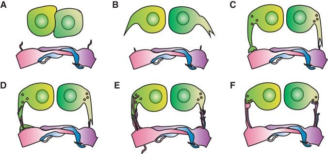 Figure 5.