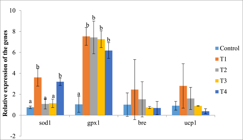 Fig. 1