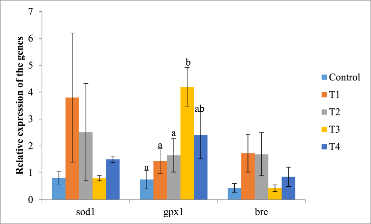 Fig. 2