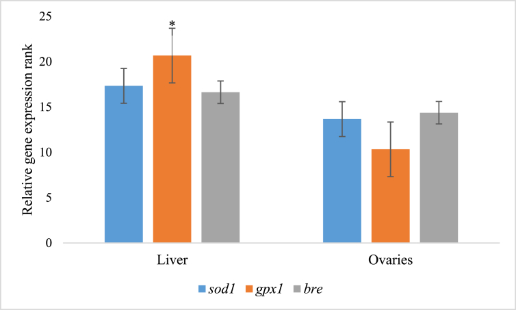 Fig. 3