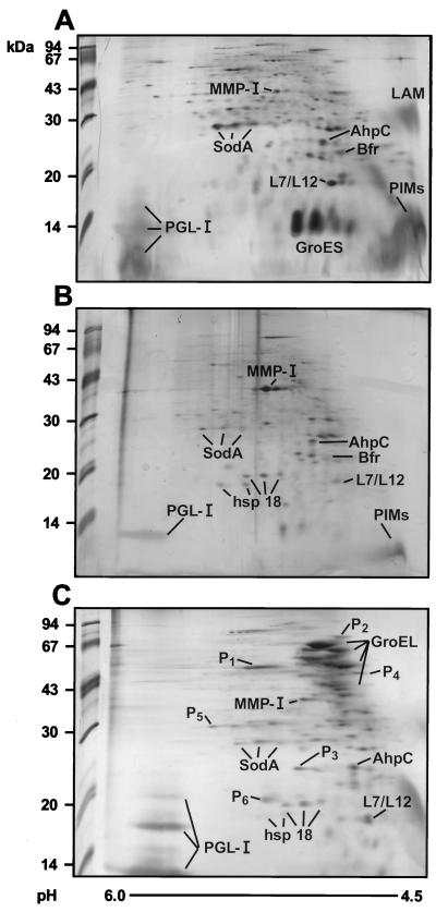 FIG. 3