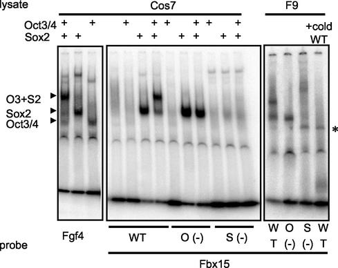 FIG. 7.