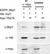 FIG. 8.