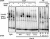 FIG. 7.