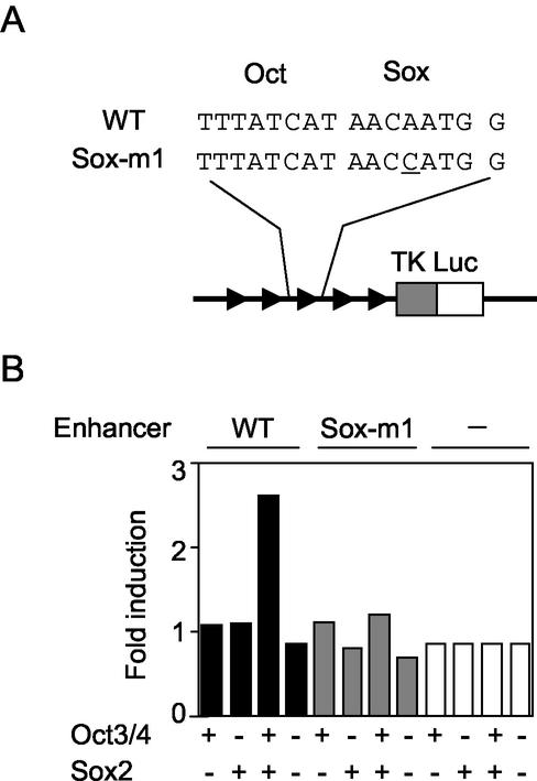 FIG. 6.