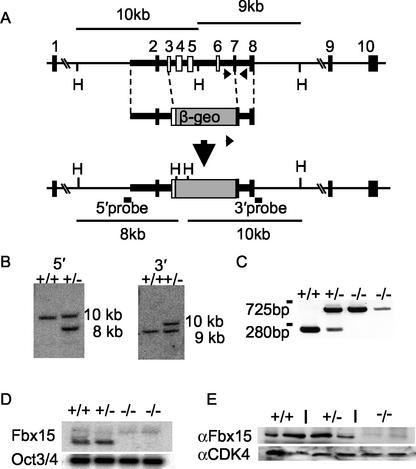 FIG. 9.