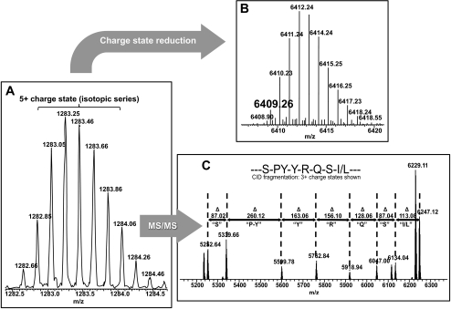 Figure 7.