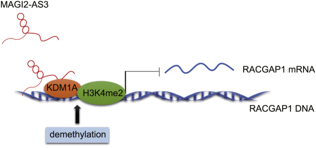 Figure 7