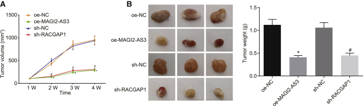 Figure 6