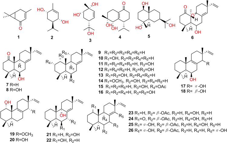 FIGURE 3
