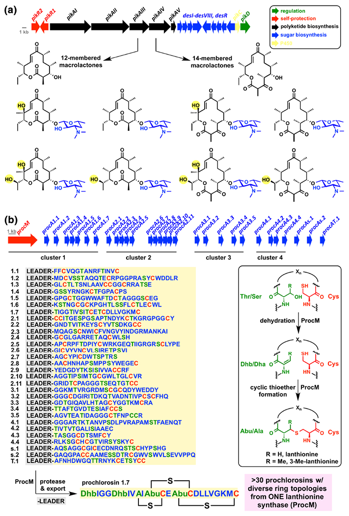 Figure 11.