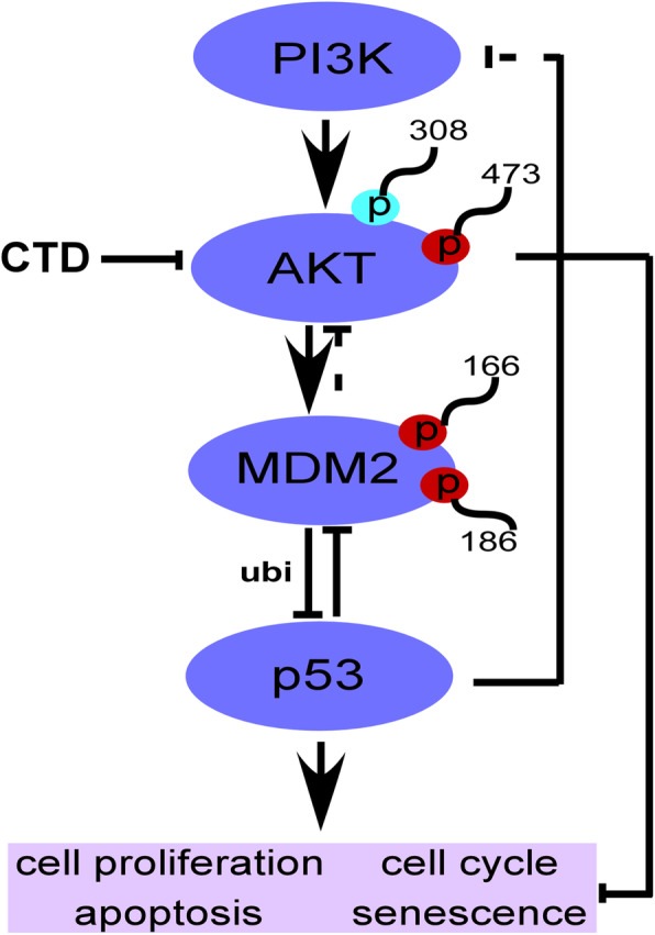 Fig. 9