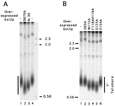 FIG. 6