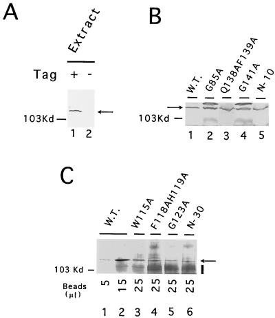 FIG. 5