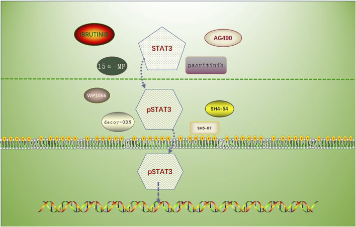 FIGURE 2