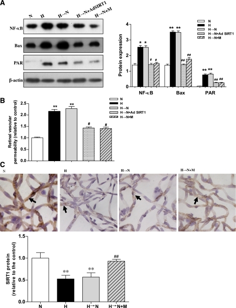 FIG. 6.