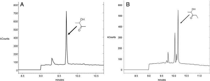 Fig. 10