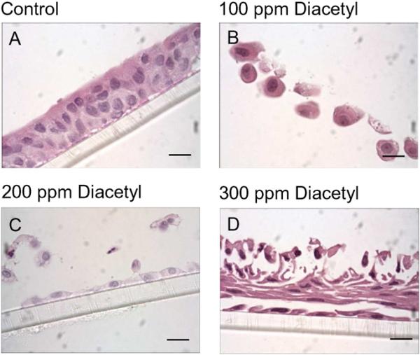 Fig. 9