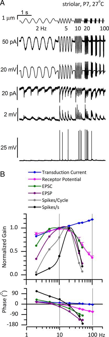 Figure 9.