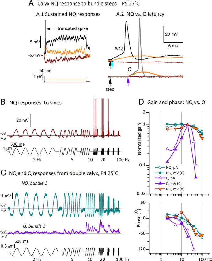 Figure 5.