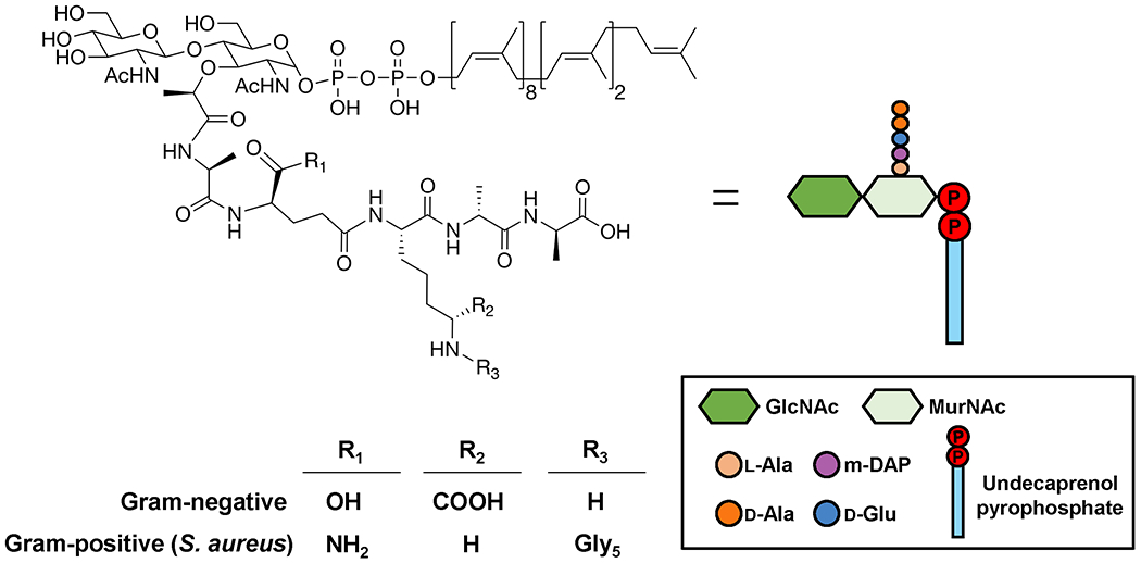 Figure 2.