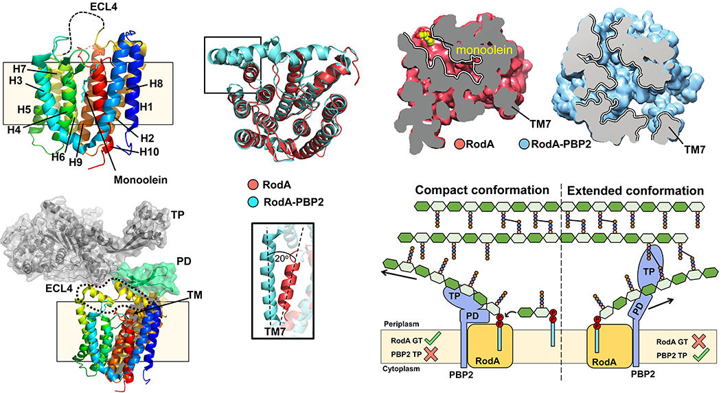 Figure 10.